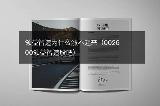 领益智造为什么涨不起来（002600领益智造股吧）